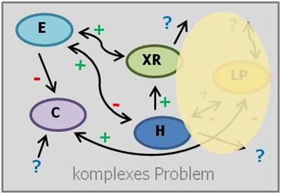 komplexes Problemlösen, Zürcher Ressourcen Modell, Hartmut Neusitzer, Dietrich Dörner