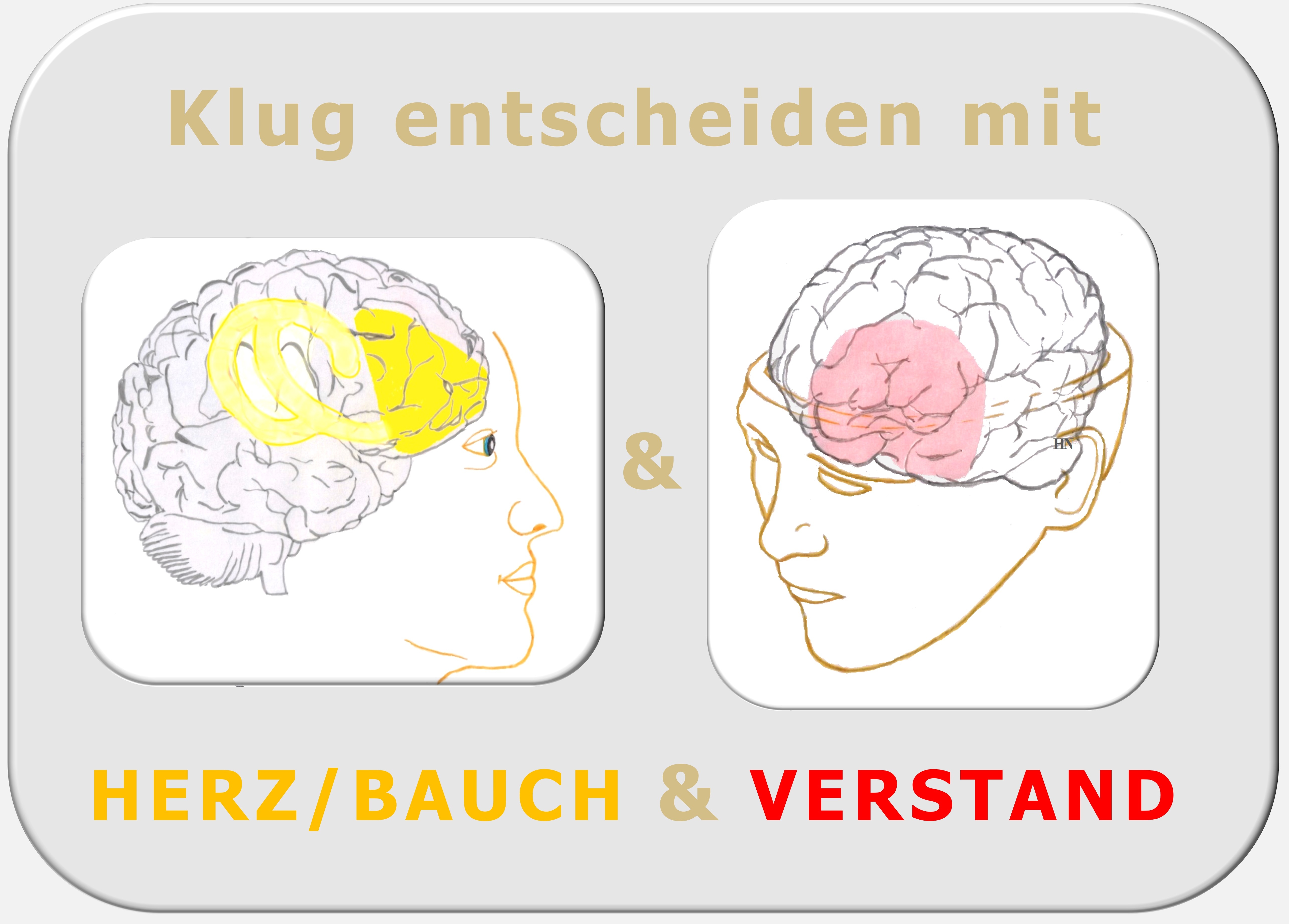 VERTAND, Bauchgefühl, Zürcher Ressourcen Modell, PSI-Theorie, Hartmut Neusitzer, Ressourcencoaching